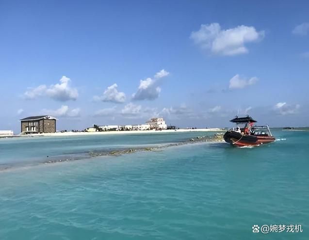 动做好准备俄罗斯专家：南海或打起来long8国际龙8南北两个方向异(图2)
