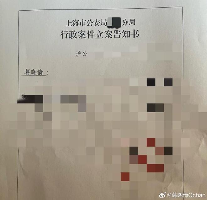 家人安全只能暂停举报张雨绮现已报警龙8国际头号玩家葛晓倩被开盒并威胁(图4)