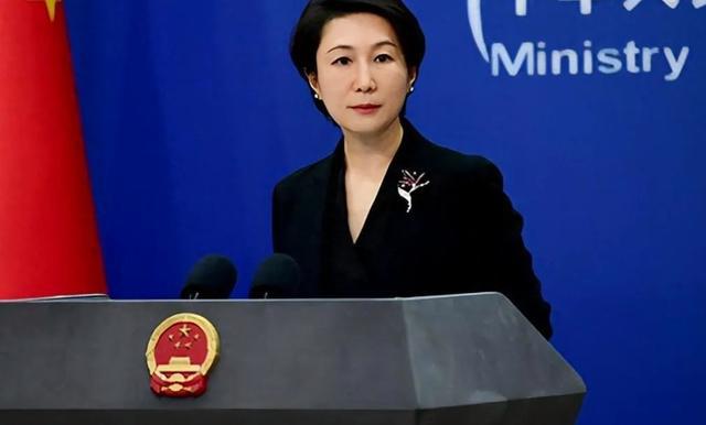 规矩到访的岩屋毅口气变得老老实实龙8国际龙8网站中方提前立了3个(图3)
