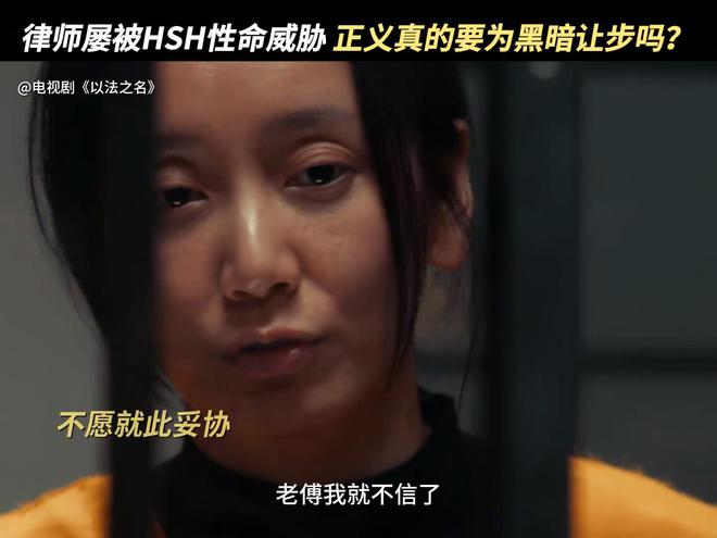 集团禹天成是真凶兰景茗是帮凶《以法之名》：都别猜了！天龙(图42)